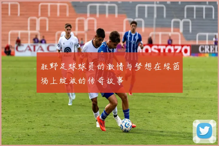 狂野足球球员的激情与梦想在绿茵场上绽放的传奇故事