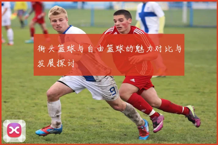 街头篮球与自由篮球的魅力对比与发展探讨