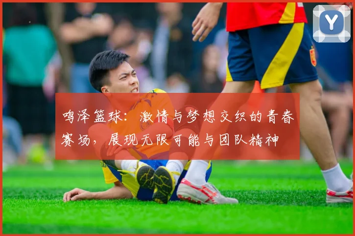 鸣泽篮球：激情与梦想交织的青春赛场，展现无限可能与团队精神