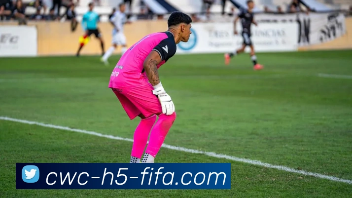 App Interface Preview